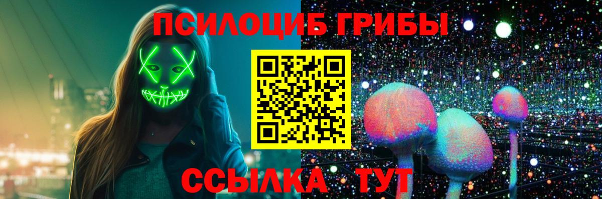 Псилоцибиновые грибы Cubensis  Вход с VPN  Саранск 